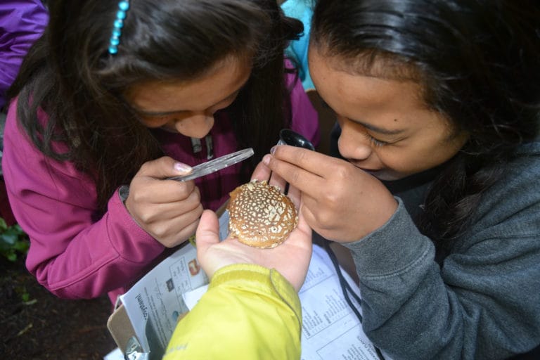 Ditch Textbooks, Throw on Lab Coats