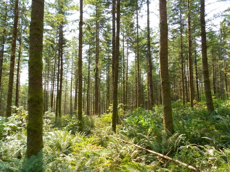 Lands Conserved in the Greenway