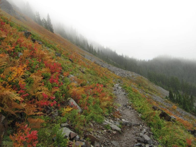 Dog-friendly hikes for fall color