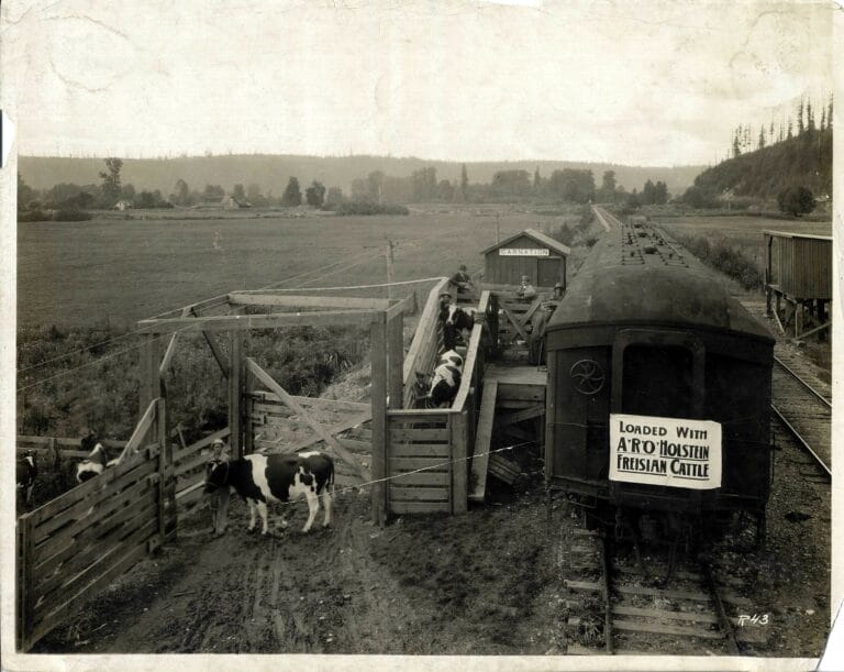 Then and Now: Stuart Landing