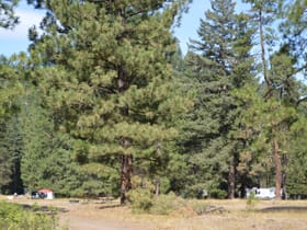 Camp among Teanaway ghosts in Casland