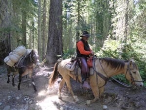 Tales from the Trail: Repairing Waptus River Trail