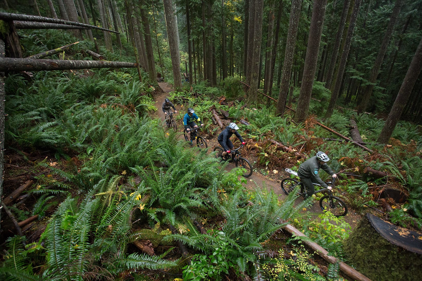 Olallie state park mountain sales bike trail