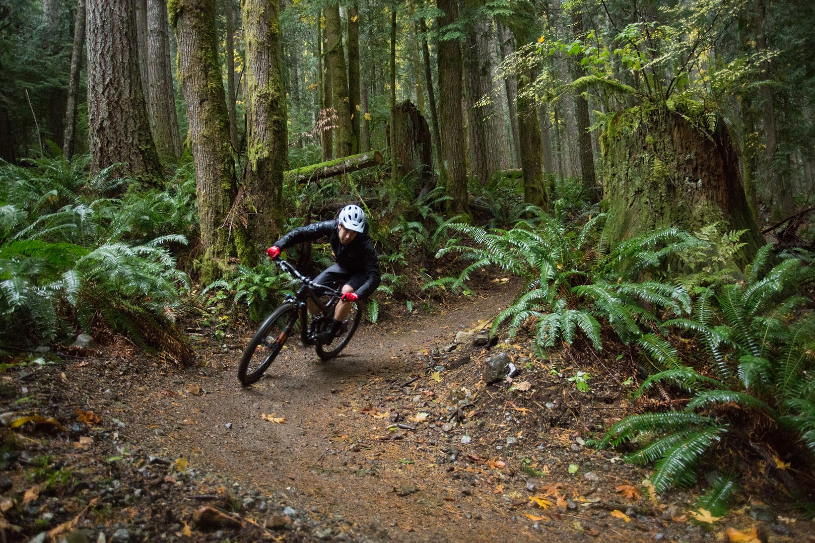 Olallie State Park