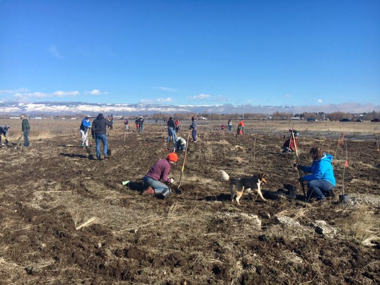 Planting for Fish and Floods