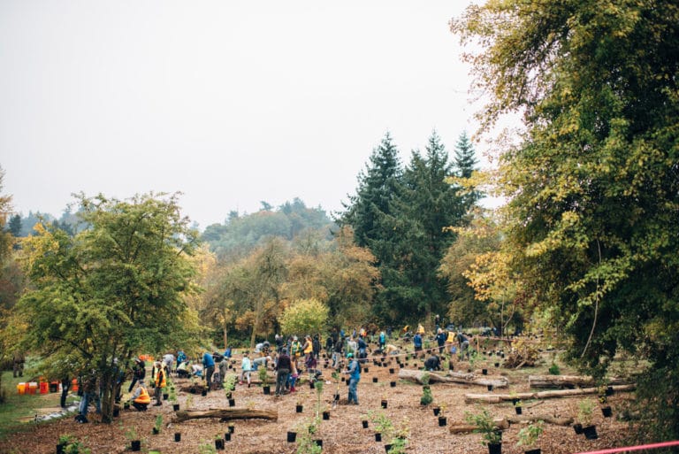 Volunteers Help Plant an Urban Forest