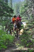 Teaming up with the Backcountry Horsemen