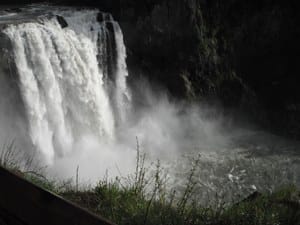 Mother’s Day in the Greenway