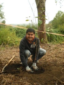 Marking milestones while planting trees