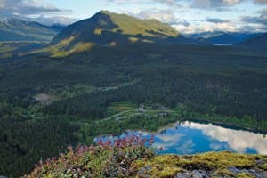 One step closer to an official Greenway