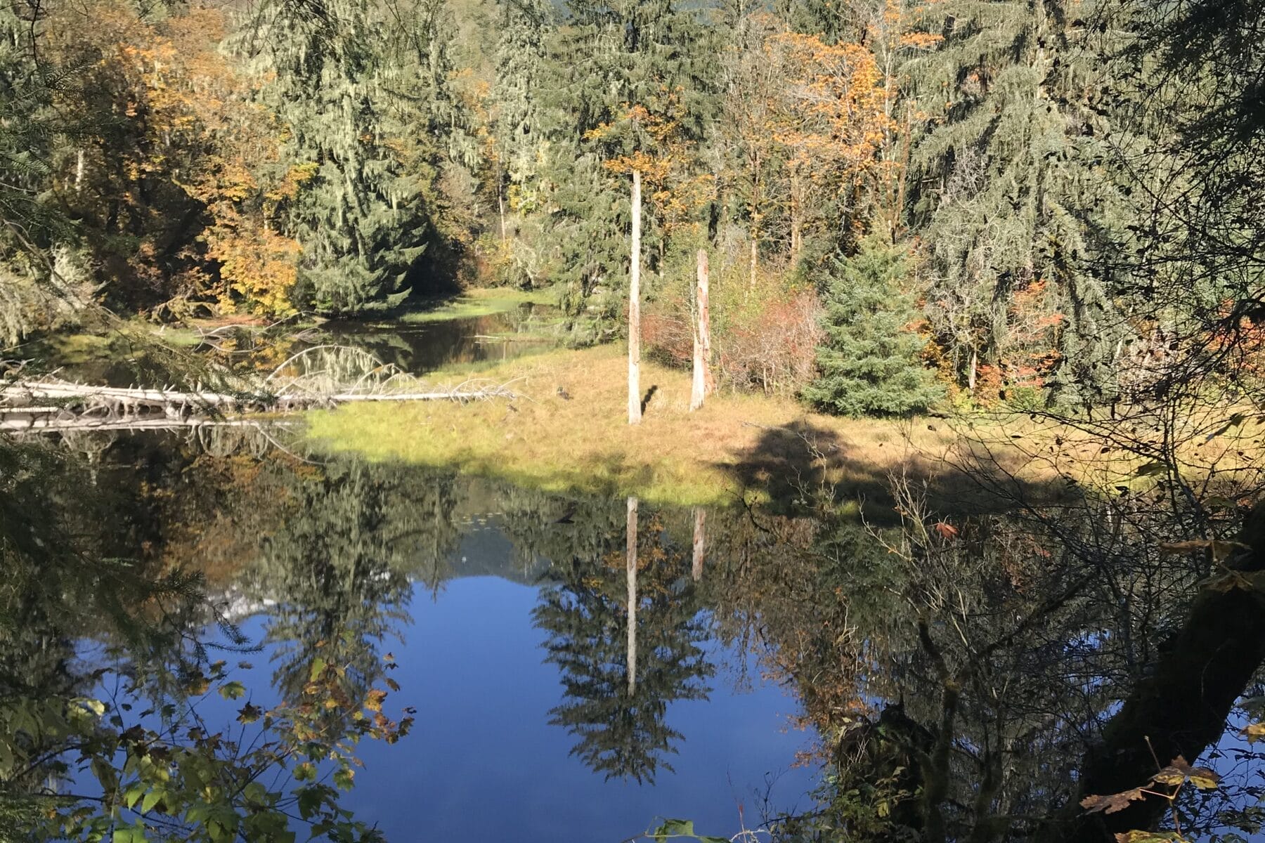 Oxbow Loop Trailhead