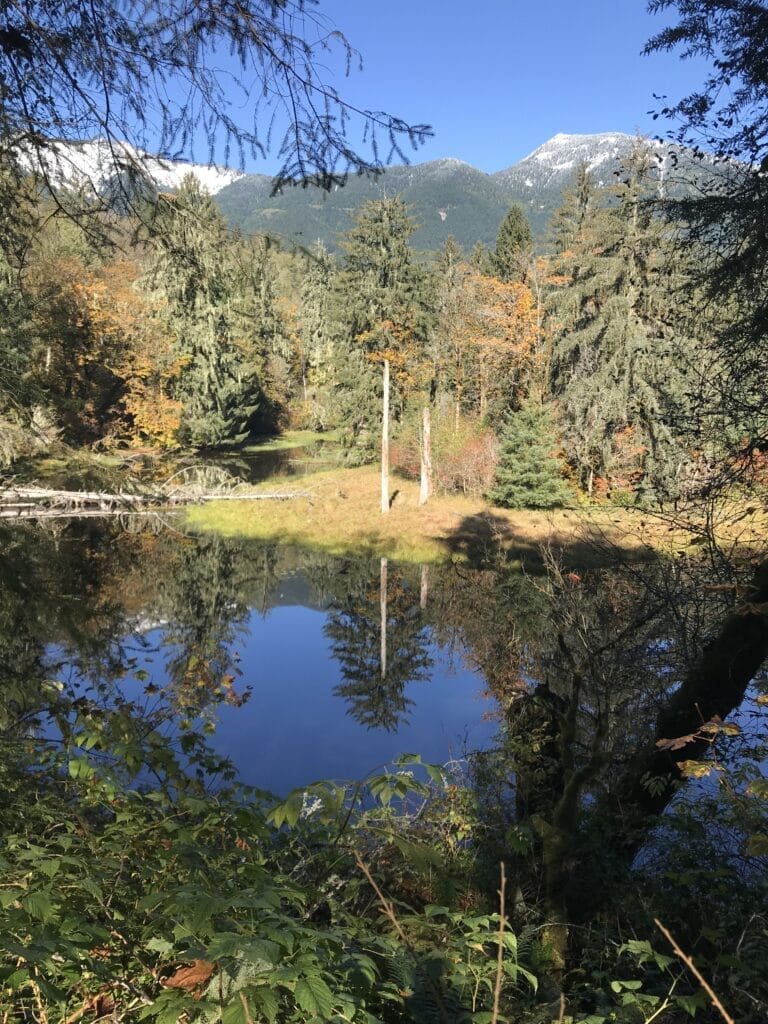 Oxbow Loop Trailhead