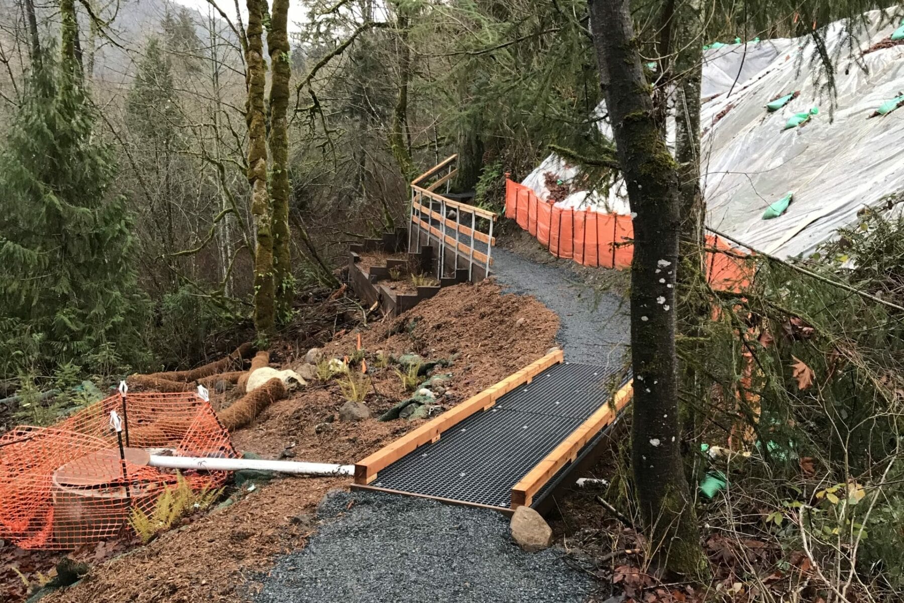 Creek wake ES.1 クリーク quiet mountain Rebuilding the Squak Mountain Access Trail - Mountains To