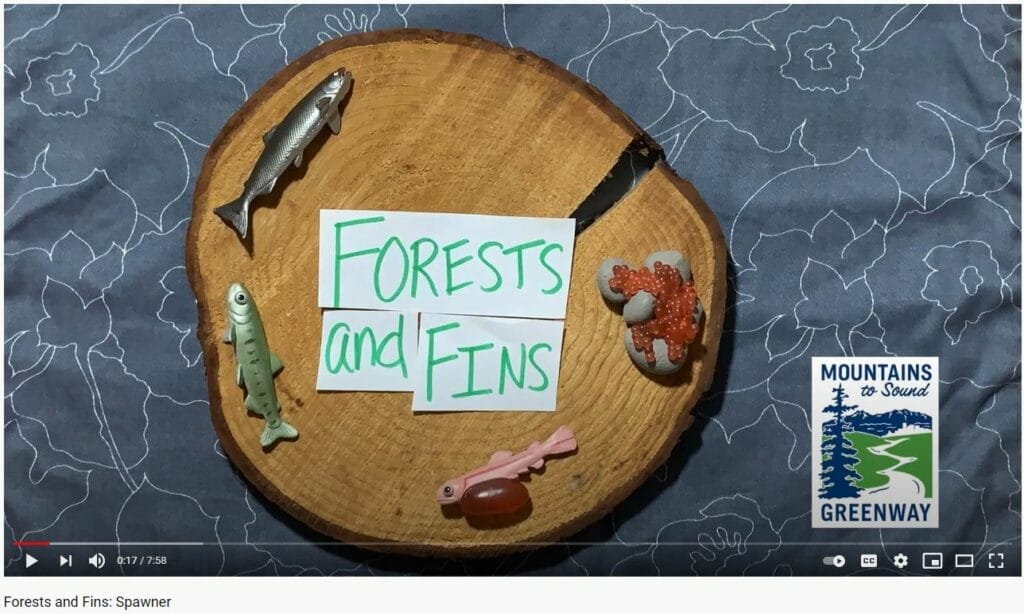 A screenshot of a Youtube video. Screenshot shows the title slide which is "Forest and Fins" written and overlaid on a wood slab and surrounded by plastic examples of the salmon lifecycle.