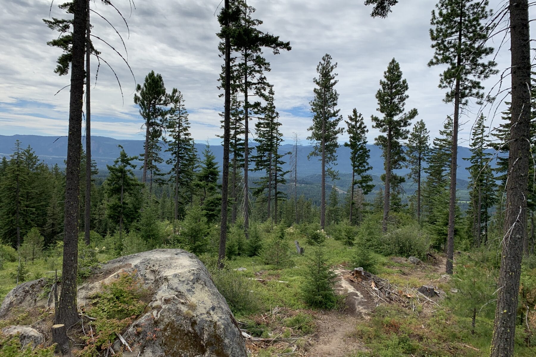 A Towns to Teanaway Trail