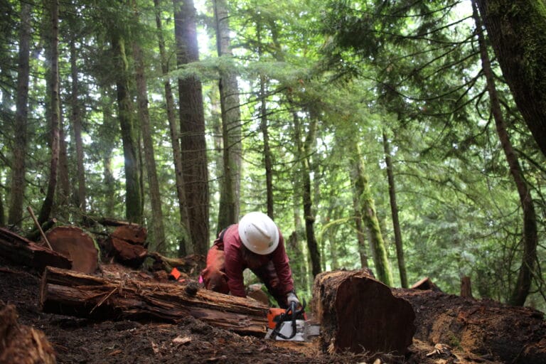 Poo Poo Point Trail Updates