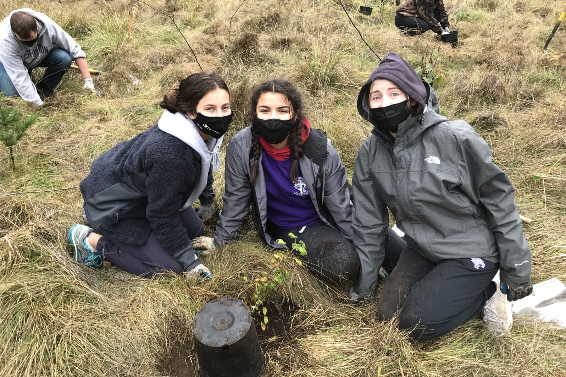 Volunteers planting trees
