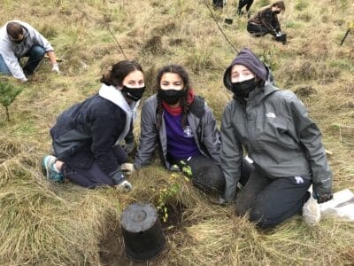 Volunteers planting trees
