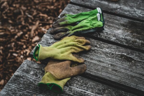 muddy gloves sitting on wood table edge