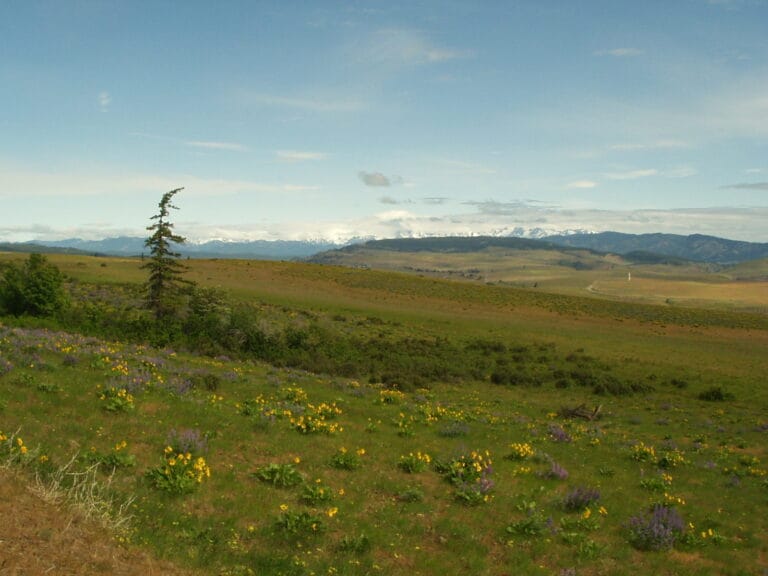 L.T. Murray Wildlife Area