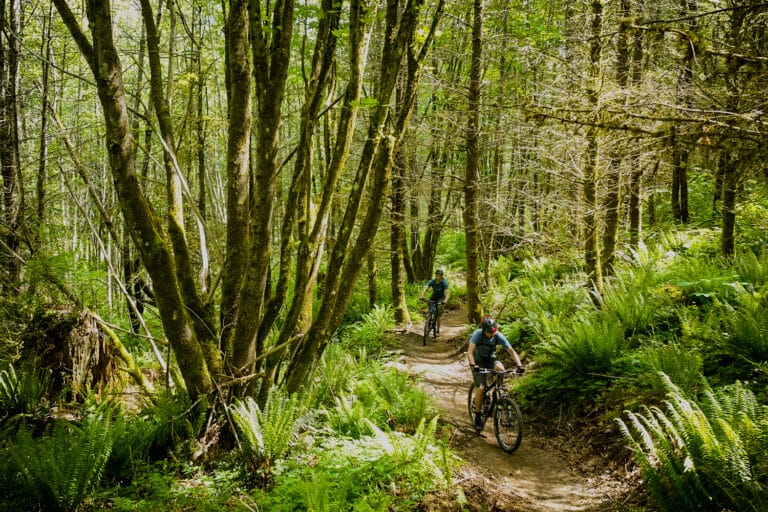 Raging River State Forest