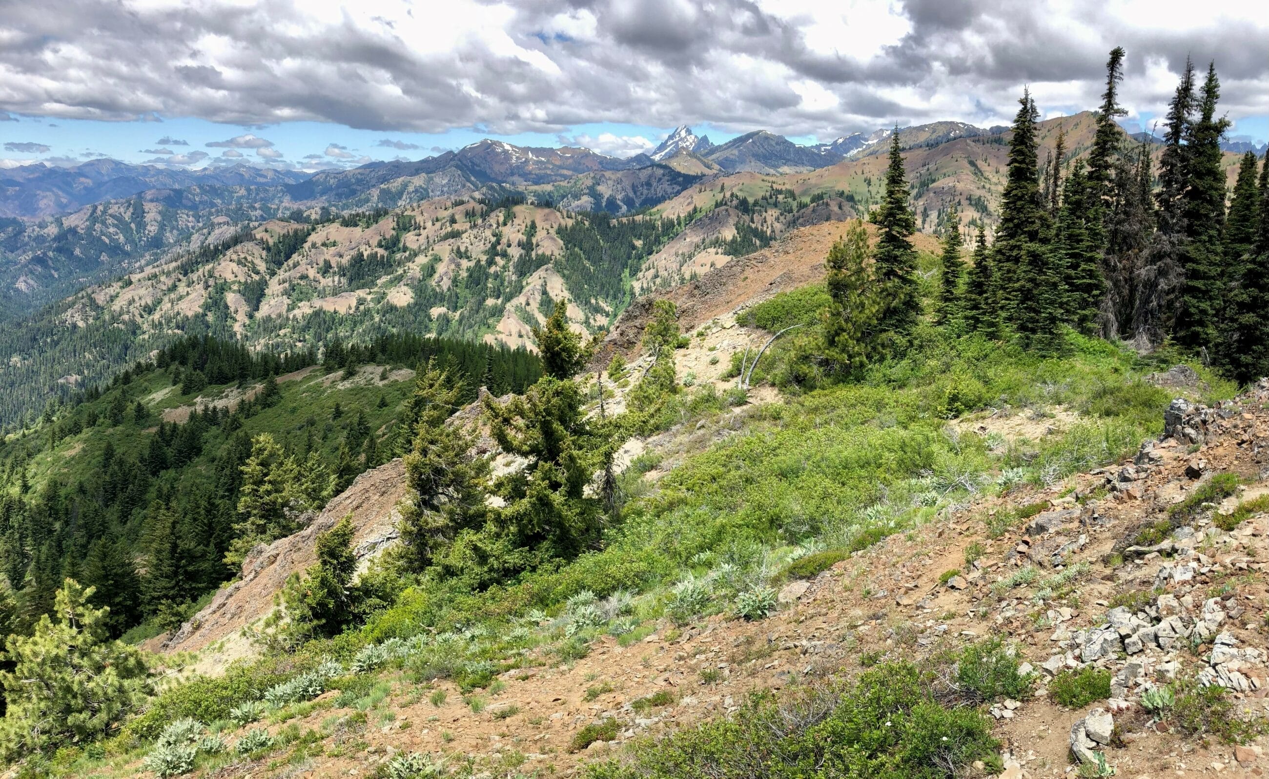 The Teanaway Community Forest Celebrates a Decade of Partnership