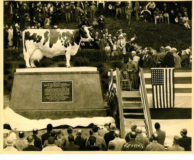 Then and Now: Carnation Farms