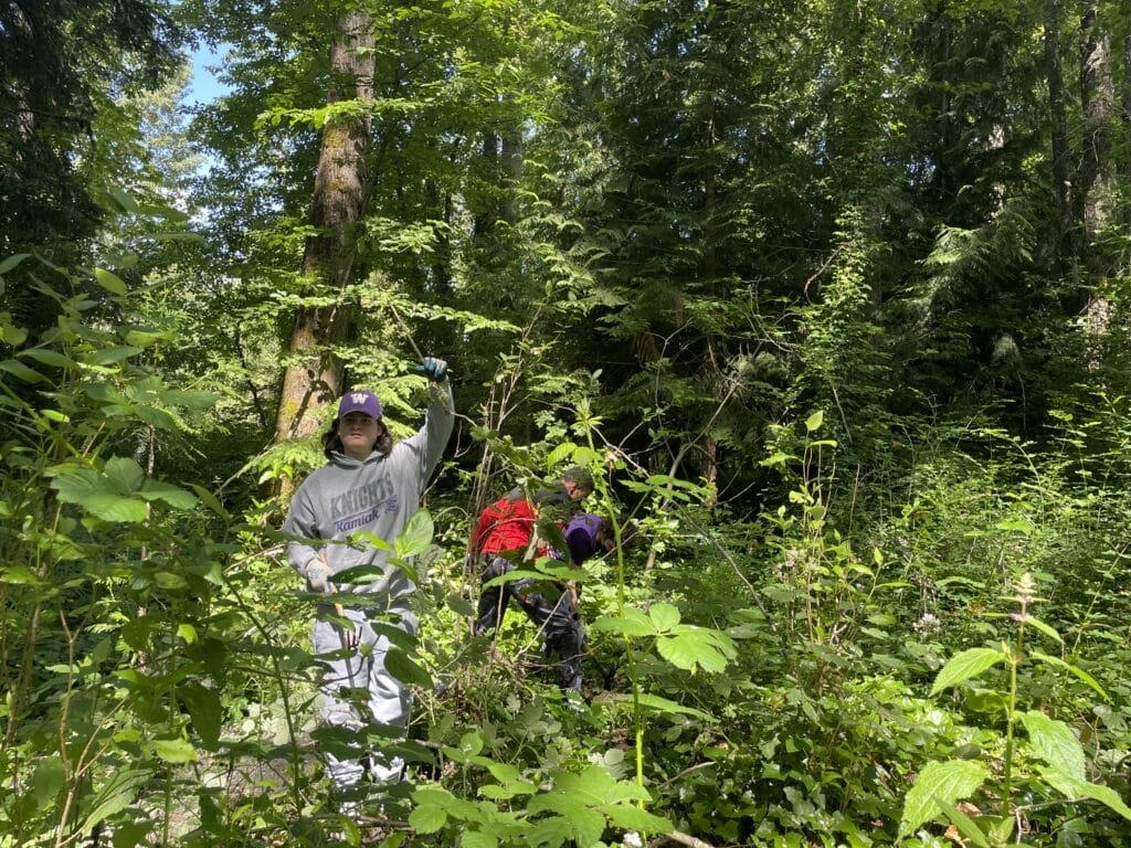 Teen holds up invasive species he just removed.