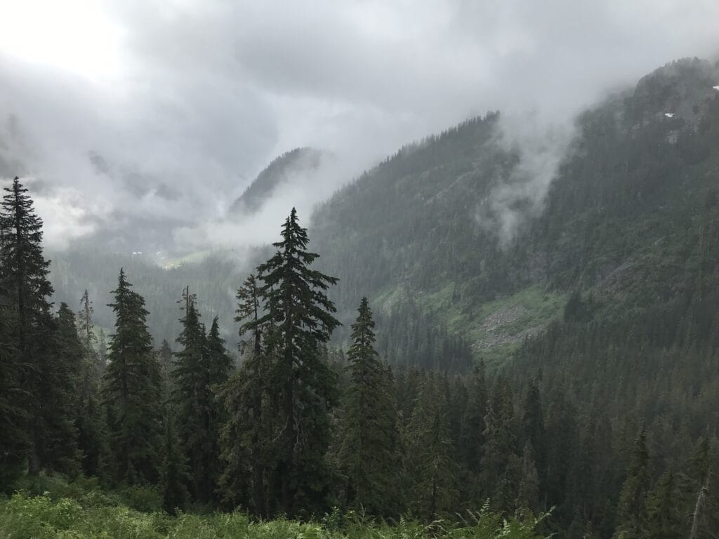 A view of a fog-swept landscape with mountains and tree stands,