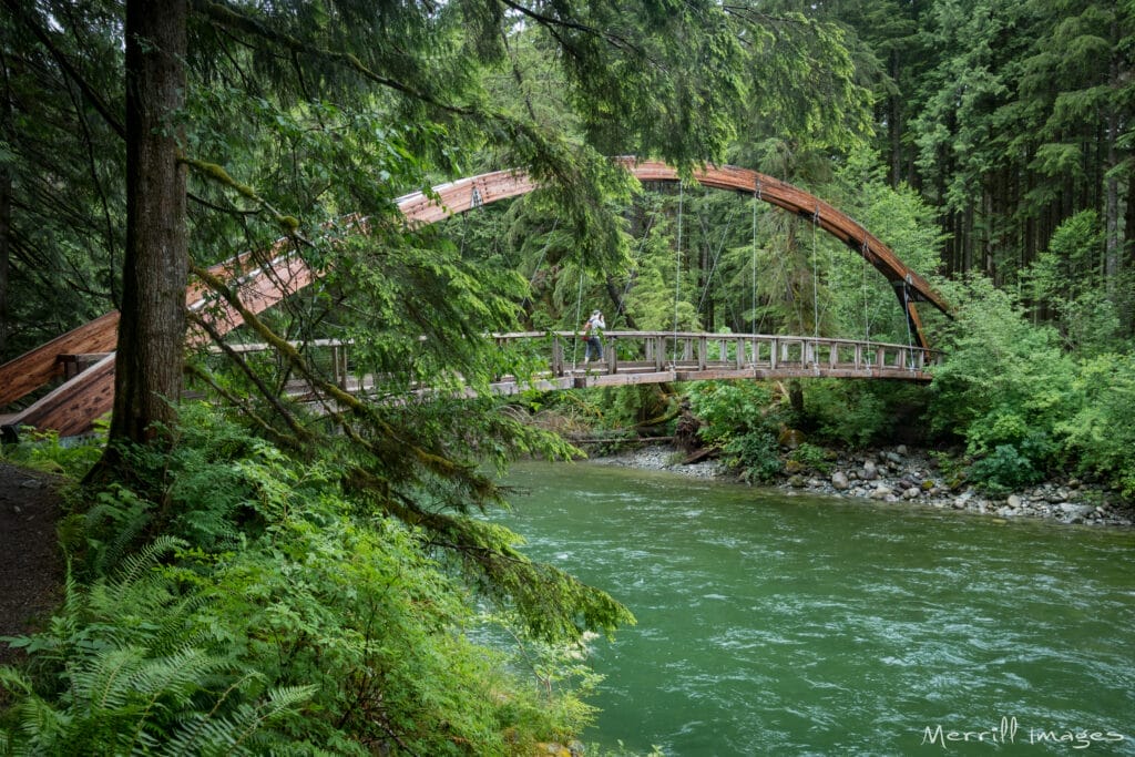 Gateway Bridge over a blue river with lush greenery