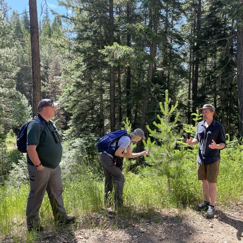 Jason Emsley, DNR, talks about tree ID and what makes certain species resilient to fire.