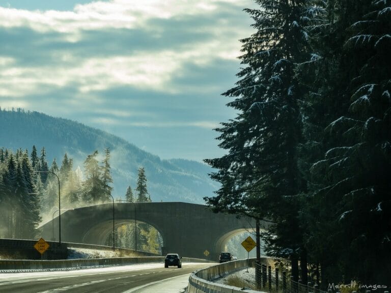 I-90 Wildlife Crossing Structures
