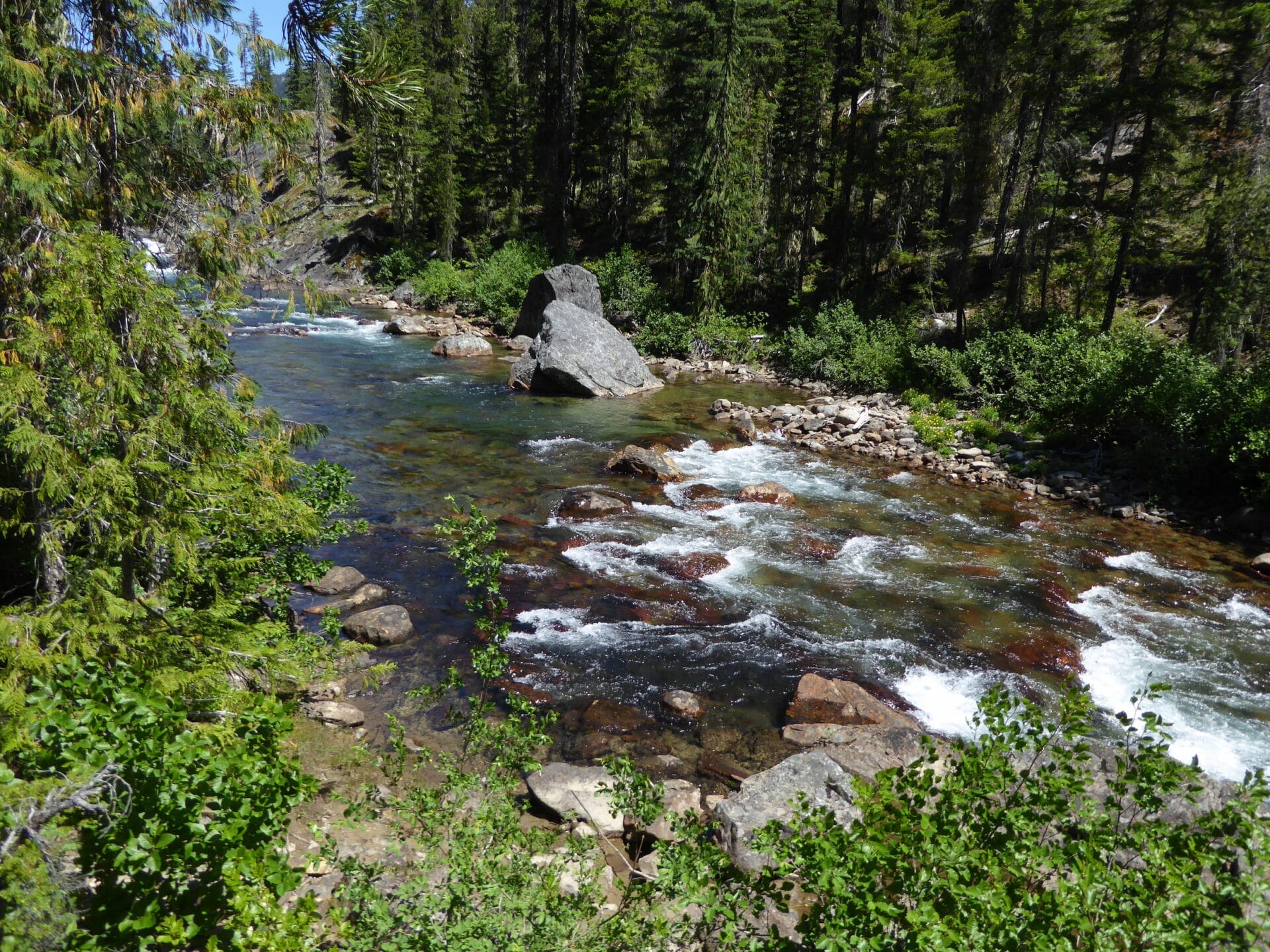 Waptus River Trail: 1310