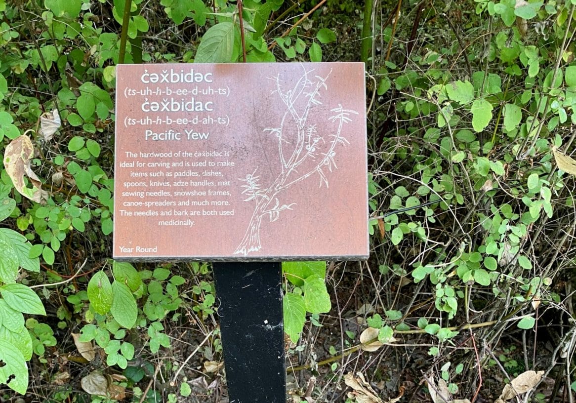 Photo of a sign showing the native names for a plant in a park