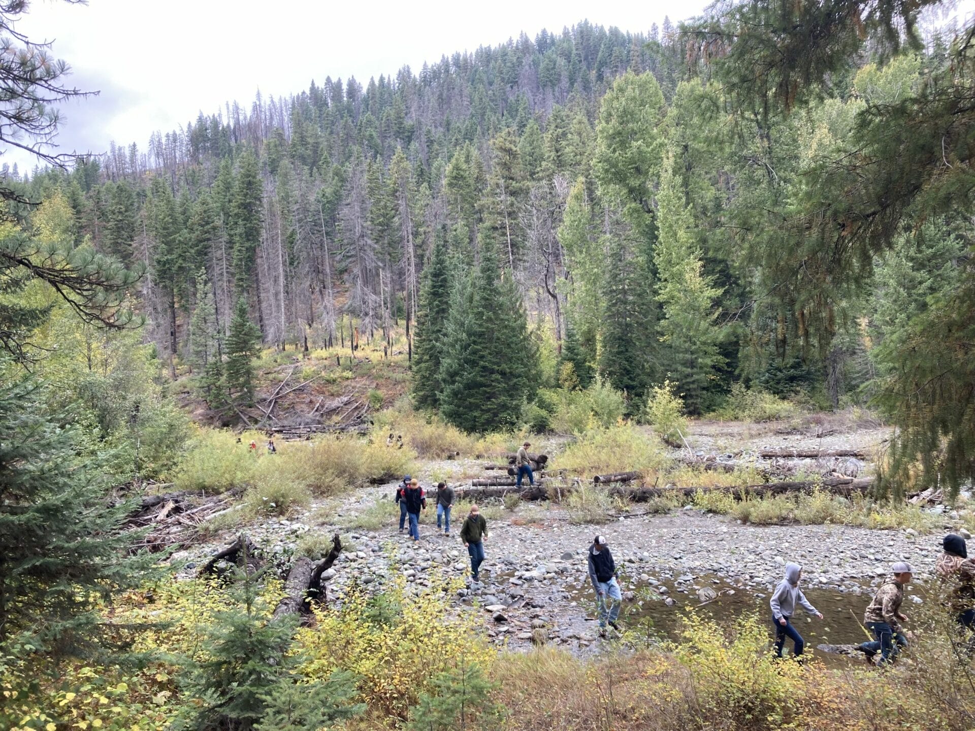 Birds and Rivers Teanaway Community Forest Mountains To Sound