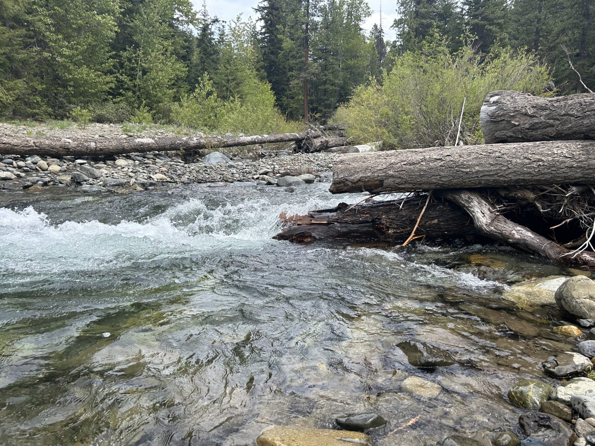 Restoring The Teanaway River