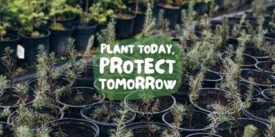 Plant today. Protect tomorrow.