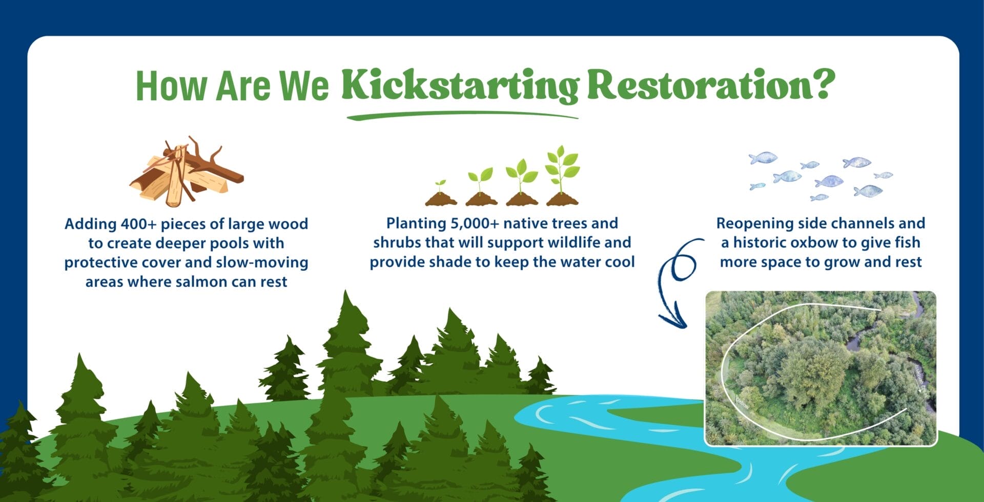 Graphic showing details of the Issaquah Creek in-stream restoration project