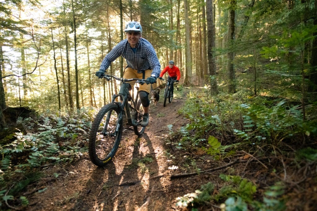 Two bikers ride on a forest trail