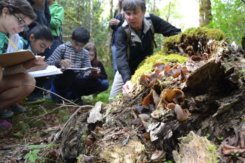 Group of students bending over with pencils and paper to take notes about mushrooms