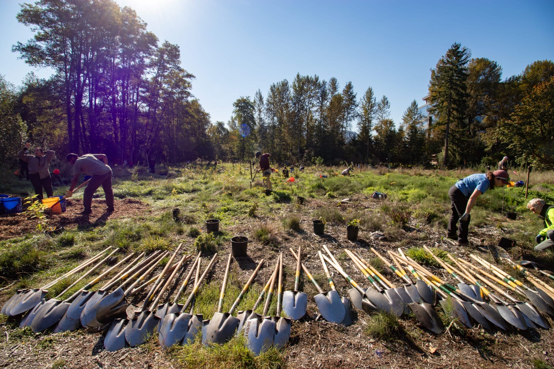 5 Ways To Volunteer for the Environment and Support Public Lands