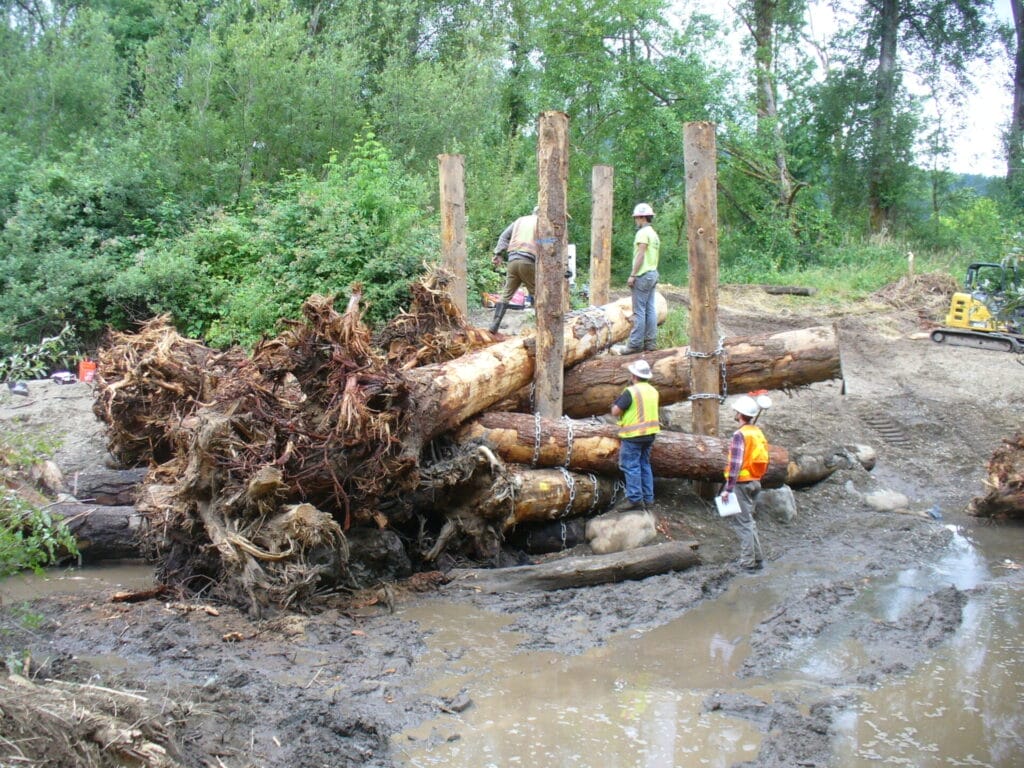 Project team inspecting one of the large structures during the Issaquah Creek In-Stream Restoration Project during summer 2025
